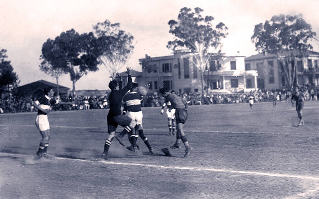 anorthosis